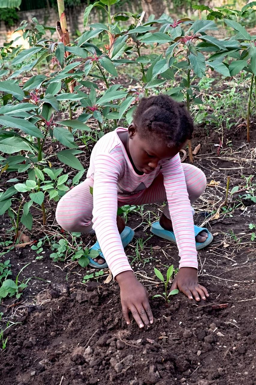 WhatsApp Image 2026-03-06 at 22.56.51